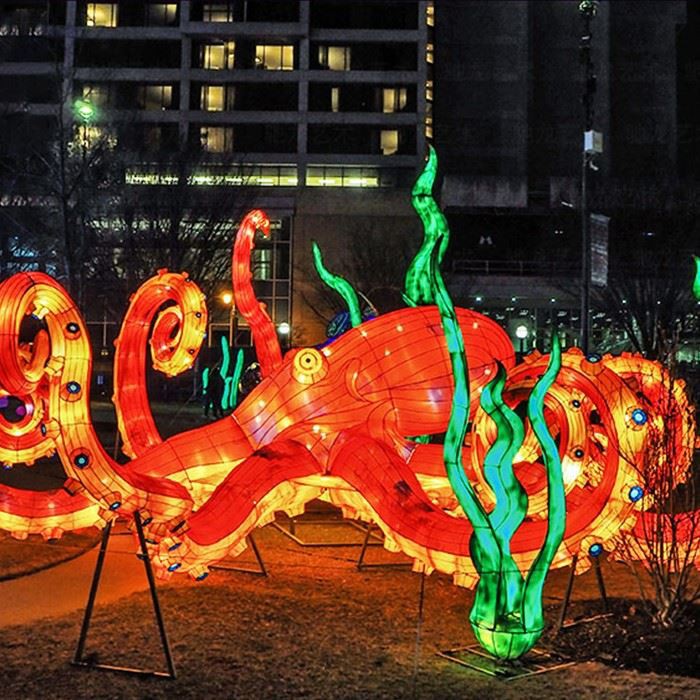 Lantern Festival Lantern Festival