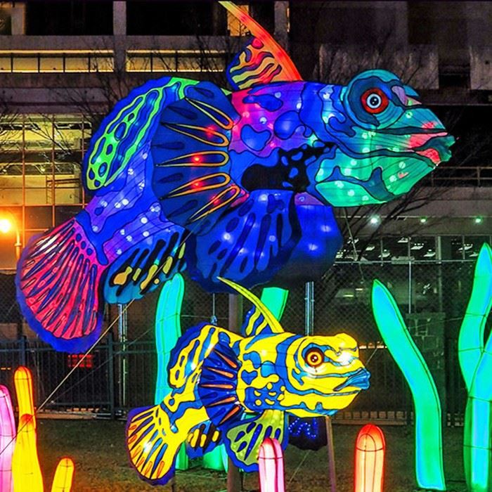 Lantern Festival Lantern Festival